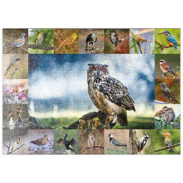puzzleplate Vögel des Jahres - Collage Nr.3 - Hauptmotiv: Uhu 500 Puzzle