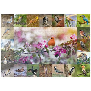 puzzleplate Vögel des Jahres - Collage Nr.4 - Hauptmotiv: Rotkehlchen 1000 Puzzle