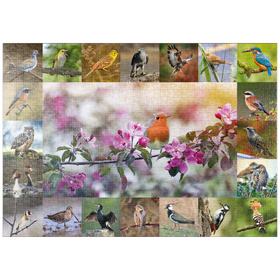 Darstellung des Puzzle Motivs Vögel des Jahres - Collage Nr.4 - Hauptmotiv: Rotkehlchen - Puzzleteile: 1000