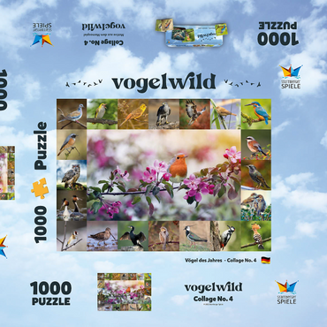 Vögel des Jahres - Collage Nr.4 - Hauptmotiv: Rotkehlchen 1000 Puzzle Schachtel 3D Modell