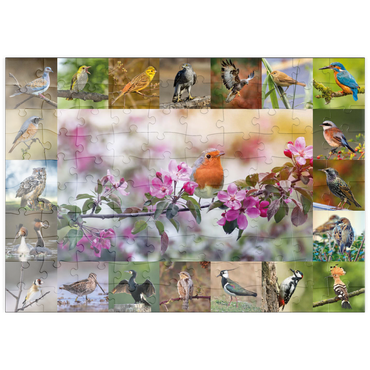 puzzleplate Vögel des Jahres - Collage Nr.4 - Hauptmotiv: Rotkehlchen 100 Puzzle