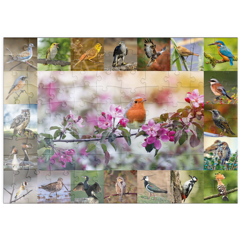 puzzleplate Vögel des Jahres - Collage Nr.4 - Hauptmotiv: Rotkehlchen 100 Puzzle