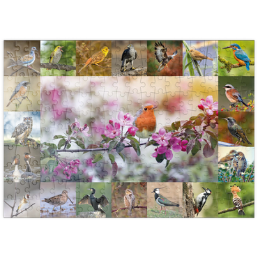 puzzleplate Vögel des Jahres - Collage Nr.4 - Hauptmotiv: Rotkehlchen 200 Puzzle