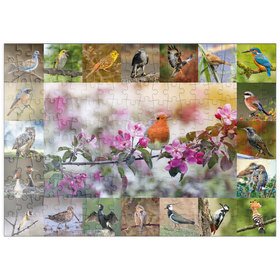 Darstellung des Puzzle Motivs Vögel des Jahres - Collage Nr.4 - Hauptmotiv: Rotkehlchen - Puzzleteile: 200