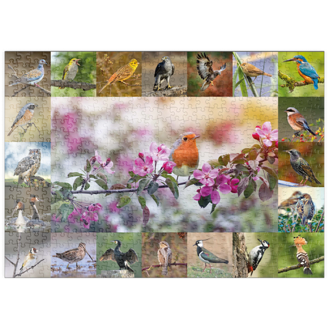 puzzleplate Vögel des Jahres - Collage Nr.4 - Hauptmotiv: Rotkehlchen 500 Puzzle