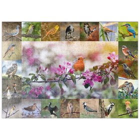 Darstellung des Puzzle Motivs Vögel des Jahres - Collage Nr.4 - Hauptmotiv: Rotkehlchen - Puzzleteile: 500