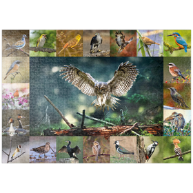 Darstellung des Puzzle-Motivs Vögel des Jahres - Collage Nr.5 - Hauptmotiv: Waldkauz – Puzzleteile: 1000