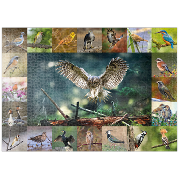 puzzleplate Vögel des Jahres - Collage Nr.5 - Hauptmotiv: Waldkauz 1000 Puzzle