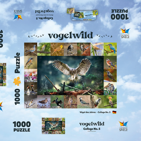 Vögel des Jahres - Collage Nr.5 - Hauptmotiv: Waldkauz 1000 Puzzle Schachtel 3D Modell