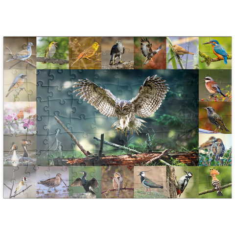 puzzleplate Vögel des Jahres - Collage Nr.5 - Hauptmotiv: Waldkauz 100 Puzzle