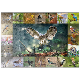 Darstellung des Puzzle-Motivs Vögel des Jahres - Collage Nr.5 - Hauptmotiv: Waldkauz – Puzzleteile: 200
