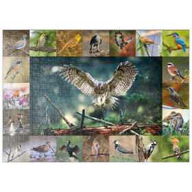Darstellung des Puzzle-Motivs Vögel des Jahres - Collage Nr.5 - Hauptmotiv: Waldkauz – Puzzleteile: 500