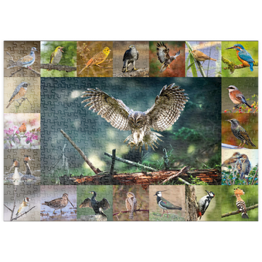 puzzleplate Vögel des Jahres - Collage Nr.5 - Hauptmotiv: Waldkauz 500 Puzzle