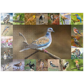 Darstellung des Puzzle-Motivs Vögel des Jahres - Collage Nr.6 - Hauptmotiv: Turteltaube – Puzzleteile: 1000