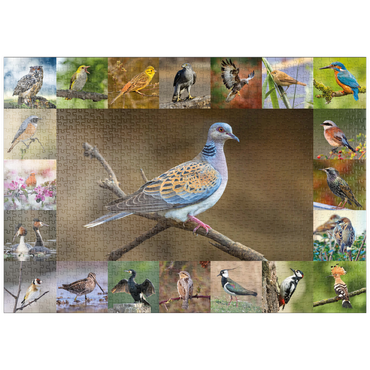 puzzleplate Vögel des Jahres - Collage Nr.6 - Hauptmotiv: Turteltaube 1000 Puzzle