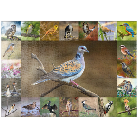 puzzleplate Vögel des Jahres - Collage Nr.6 - Hauptmotiv: Turteltaube 1000 Puzzle