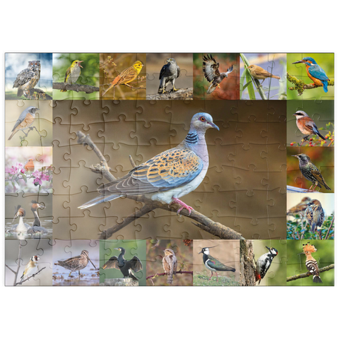 puzzleplate Vögel des Jahres - Collage Nr.6 - Hauptmotiv: Turteltaube 100 Puzzle