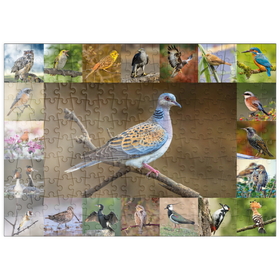 Darstellung des Puzzle-Motivs Vögel des Jahres - Collage Nr.6 - Hauptmotiv: Turteltaube – Puzzleteile: 200