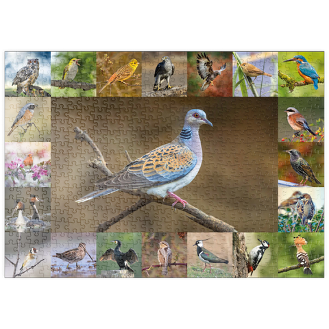 puzzleplate Vögel des Jahres - Collage Nr.6 - Hauptmotiv: Turteltaube 500 Puzzle