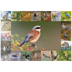 Darstellung des Puzzle-Motivs Vögel des Jahres - Collage Nr.7 - Hauptmotiv: Neuntöter – Puzzleteile: 1000