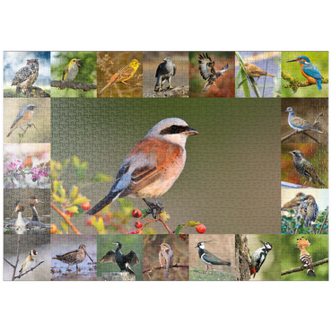 puzzleplate Vögel des Jahres - Collage Nr.7 - Hauptmotiv: Neuntöter 1000 Puzzle