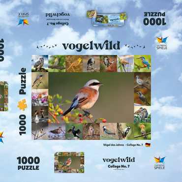 Vögel des Jahres - Collage Nr.7 - Hauptmotiv: Neuntöter 1000 Puzzle Schachtel 3D Modell