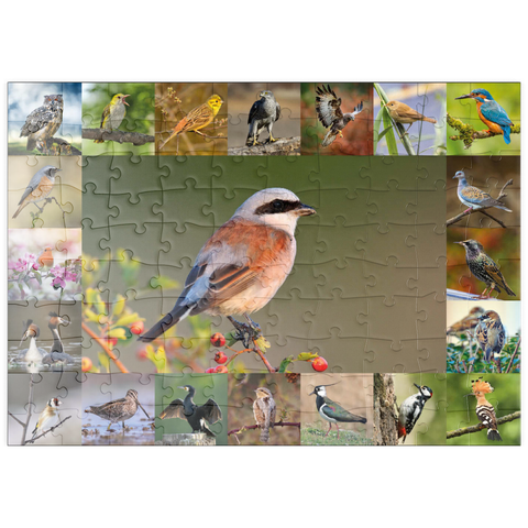 puzzleplate Vögel des Jahres - Collage Nr.7 - Hauptmotiv: Neuntöter 100 Puzzle