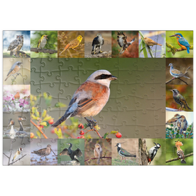 Darstellung des Puzzle Motivs Vögel des Jahres - Collage Nr.7 - Hauptmotiv: Neuntöter - Puzzleteile: 100