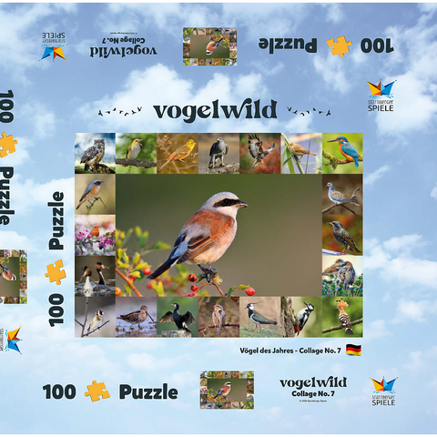 Vögel des Jahres - Collage Nr.7 - Hauptmotiv: Neuntöter 100 Puzzle Schachtel 3D Modell