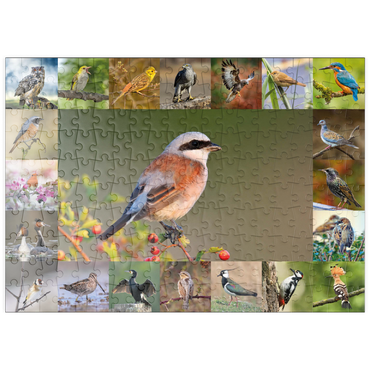 puzzleplate Vögel des Jahres - Collage Nr.7 - Hauptmotiv: Neuntöter 200 Puzzle