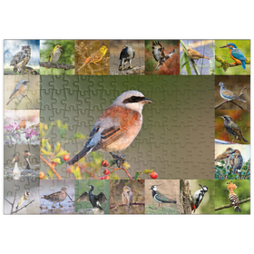 Darstellung des Puzzle Motivs Vögel des Jahres - Collage Nr.7 - Hauptmotiv: Neuntöter - Puzzleteile: 200