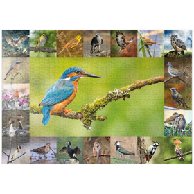 Darstellung des Puzzle-Motivs Vögel des Jahres - Collage Nr.8 Hauptmotiv: Eisvogel – Puzzleteile: 1000
