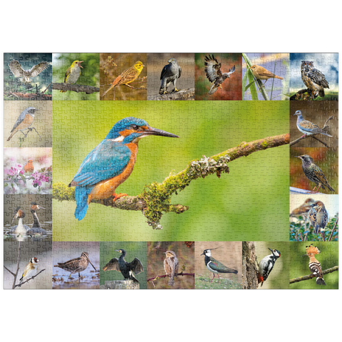 puzzleplate Vögel des Jahres - Collage Nr.8 Hauptmotiv: Eisvogel 1000 Puzzle