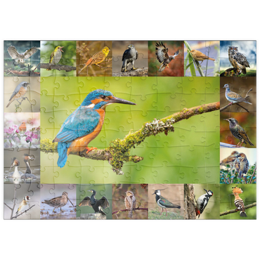 puzzleplate Vögel des Jahres - Collage Nr.8 Hauptmotiv: Eisvogel 100 Puzzle