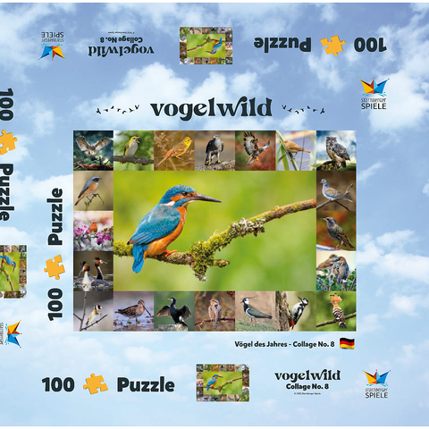 Vögel des Jahres - Collage Nr.8 Hauptmotiv: Eisvogel 100 Puzzle Schachtel 3D Modell