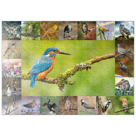 Darstellung des Puzzle-Motivs Vögel des Jahres - Collage Nr.8 Hauptmotiv: Eisvogel – Puzzleteile: 200