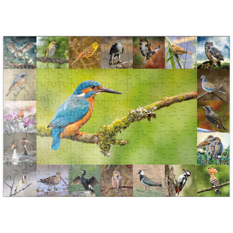 puzzleplate Vögel des Jahres - Collage Nr.8 Hauptmotiv: Eisvogel 200 Puzzle