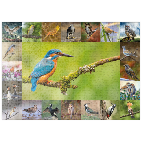 puzzleplate Vögel des Jahres - Collage Nr.8 Hauptmotiv: Eisvogel 500 Puzzle