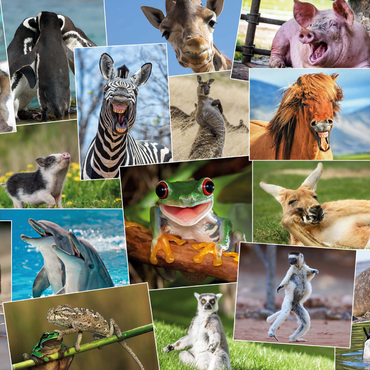 Lustige Tiere - Collage No. 2  1000 Puzzle 3D Modell