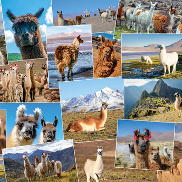 Lamas und Alpakas - Collage No. 2 100 Puzzle 3D Modell