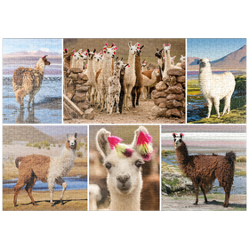 Darstellung des Puzzle-Motivs Lamas und Alpakas - Collage No. 3 – Puzzleteile: 1000