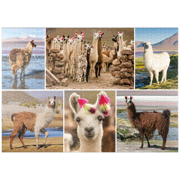 puzzleplate Lamas und Alpakas - Collage No. 3 1000 Puzzle