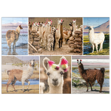 puzzleplate Lamas und Alpakas - Collage No. 3 100 Puzzle