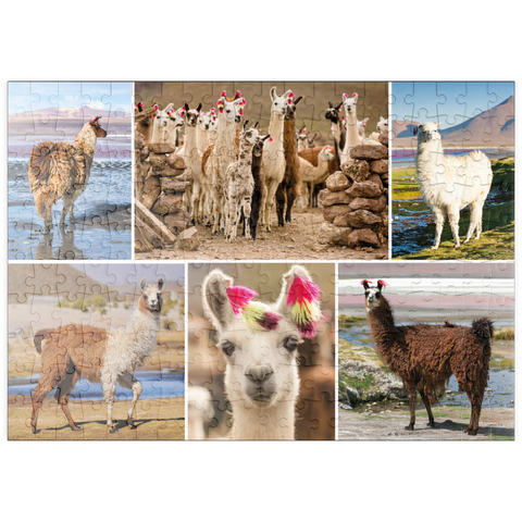 puzzleplate Lamas und Alpakas - Collage No. 3 200 Puzzle
