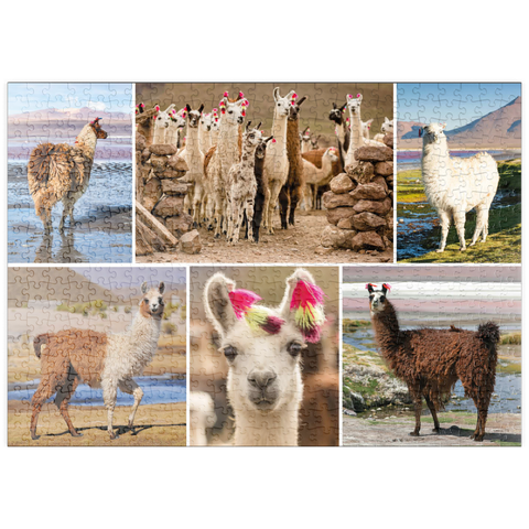 puzzleplate Lamas und Alpakas - Collage No. 3 500 Puzzle