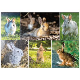 Darstellung des Puzzle-Motivs Hasen & Kaninchen - Collage No. 2 – Puzzleteile: 1000