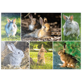 Darstellung des Puzzle Motivs Hasen & Kaninchen - Collage No. 2 - Puzzleteile: 200