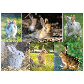 Darstellung des Puzzle Motivs Hasen & Kaninchen - Collage No. 2 - Puzzleteile: 500