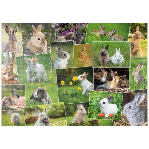 puzzleplate Hasen & Kaninchen - Collage No. 3 1000 Puzzle