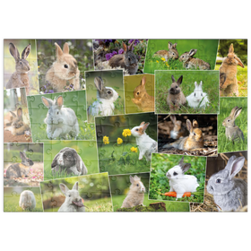 Darstellung des Puzzle-Motivs Hasen & Kaninchen - Collage No. 3 – Puzzleteile: 100